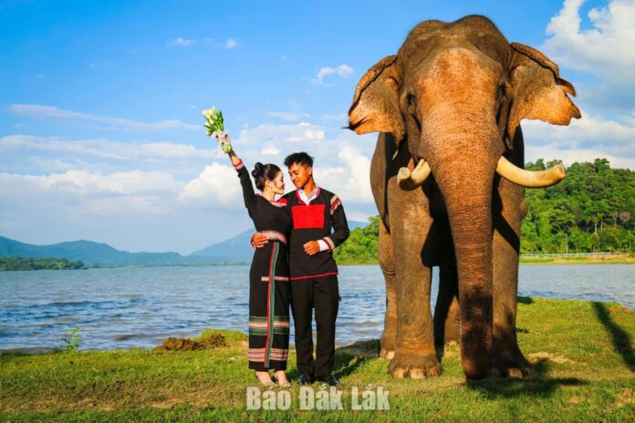 Vùng đất Voi... (Kỳ 2) Vùng đất Voi... (Kỳ 2)