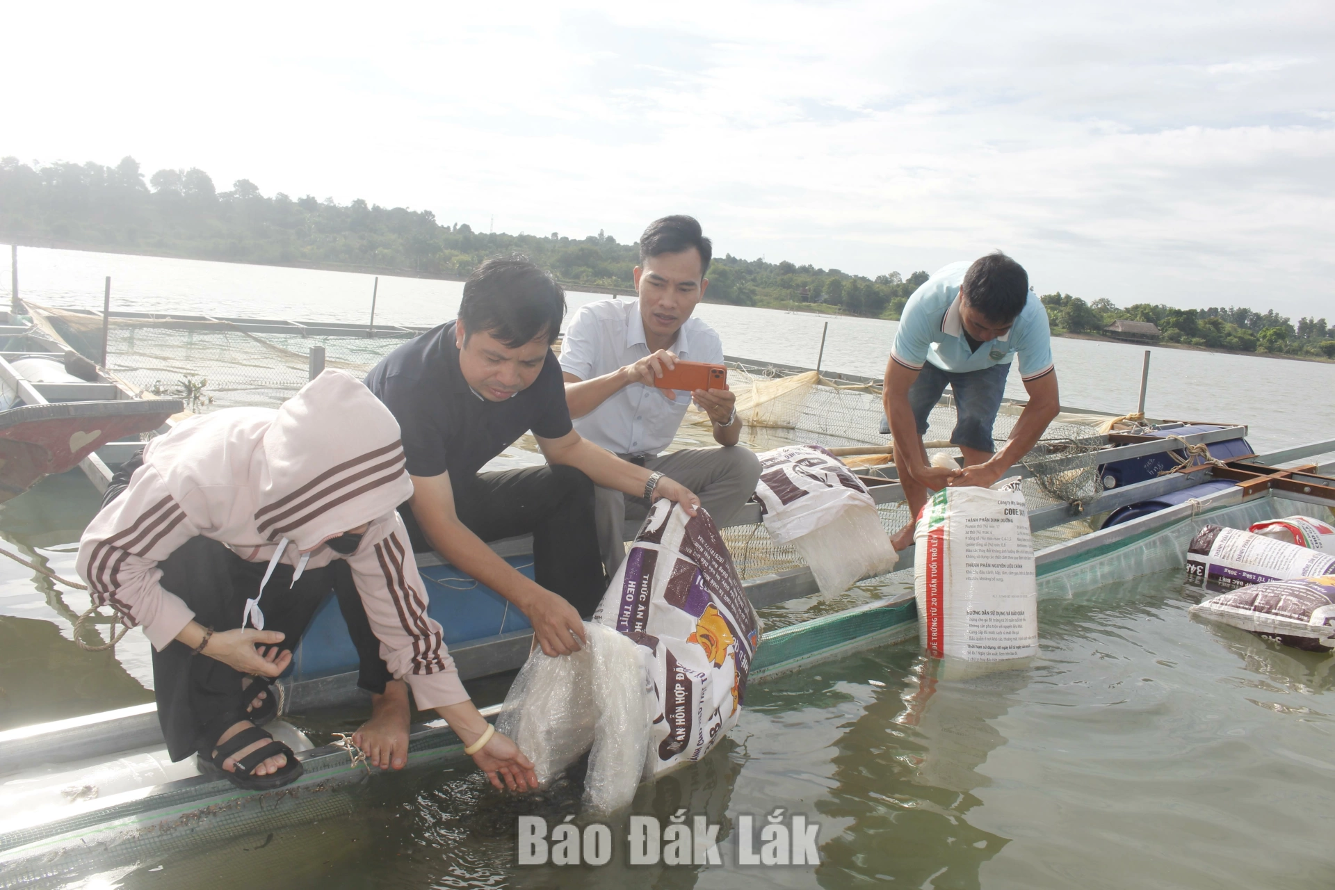 Triển khai nuôi cá rô phi trong lồng bè tại xã Ea Nuôl 1 Bàn giao