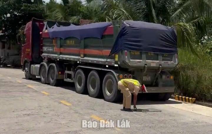 Phương tiện tại thời điểm kiểm tra.