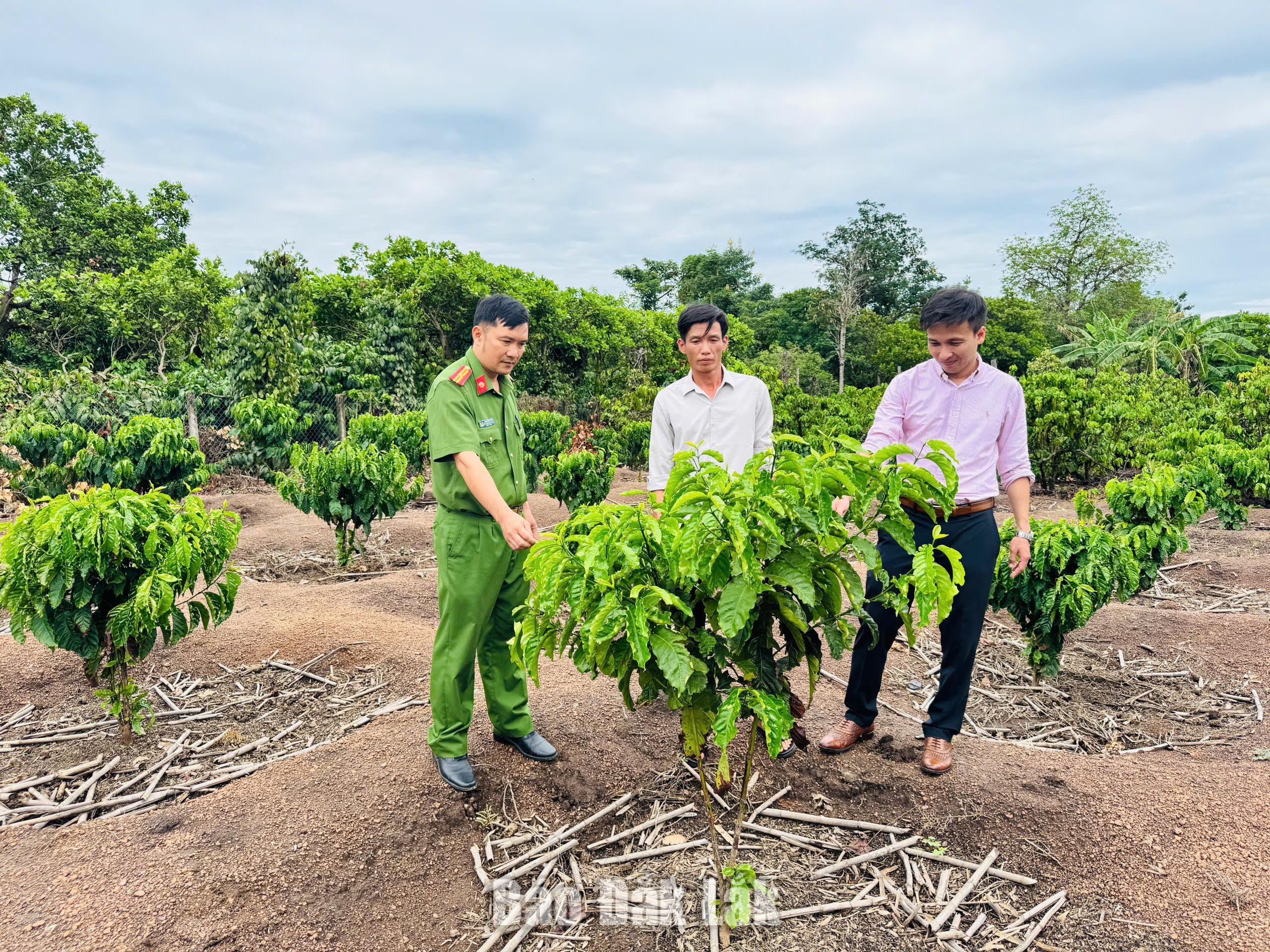 Trao cơ hội, mở lối hoàn lương 1 a2 20260818104151 20260828153915