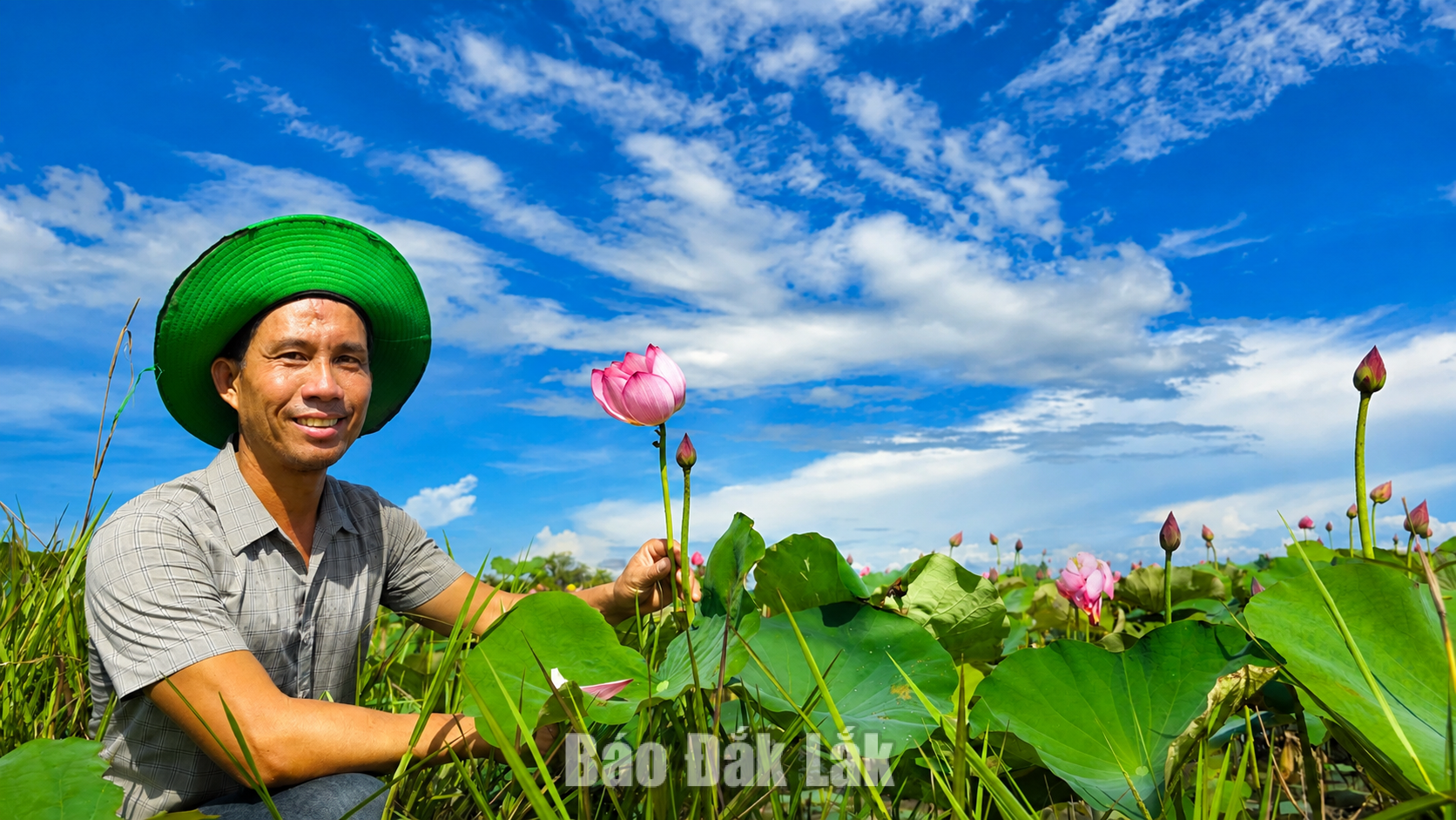 Trồng sen, hướng phát triển kinh tế mới ở vùng biên Ea Bung 2 Anh Phạm Văn Hảo (thôn 3) có 1 ha đất trồng sen.