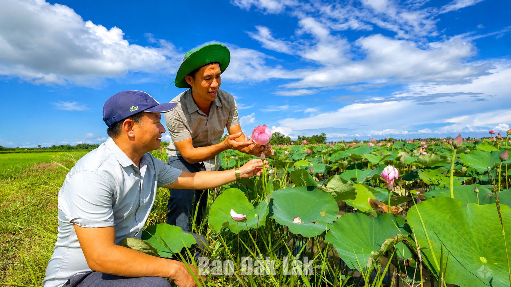 Trồng sen, hướng phát triển kinh tế mới ở vùng biên Ea Bung 3 Cán bộ Phòng Văn hóa Xã hội Ea Bung thăm vườn sen của người dân.