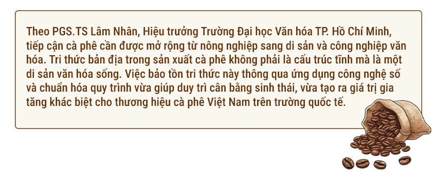 Cà phê kể chuyện trăm năm - Kỳ 2: Cà phê Robusta - Từ xuất khẩu thô đến bài toán tạo giá trị tỷ đô 7