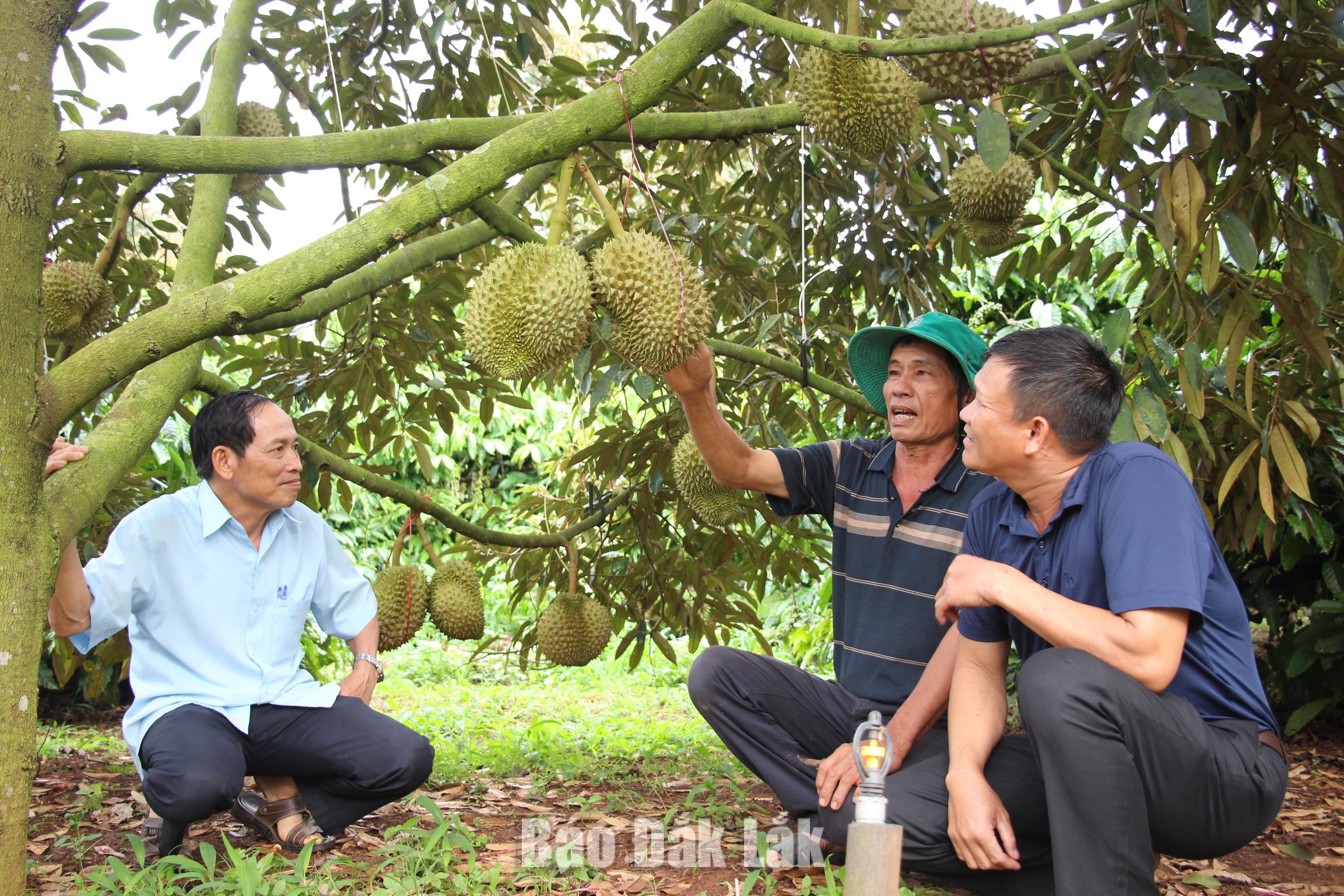 Nông dân thời đại mới trên hành trình làm giàu 1 Nhiều nông dân mạnh dạn đổi mới tư duy, ứng dụng khoa học kỹ thuật để nâng cao giá trị sản xuất.