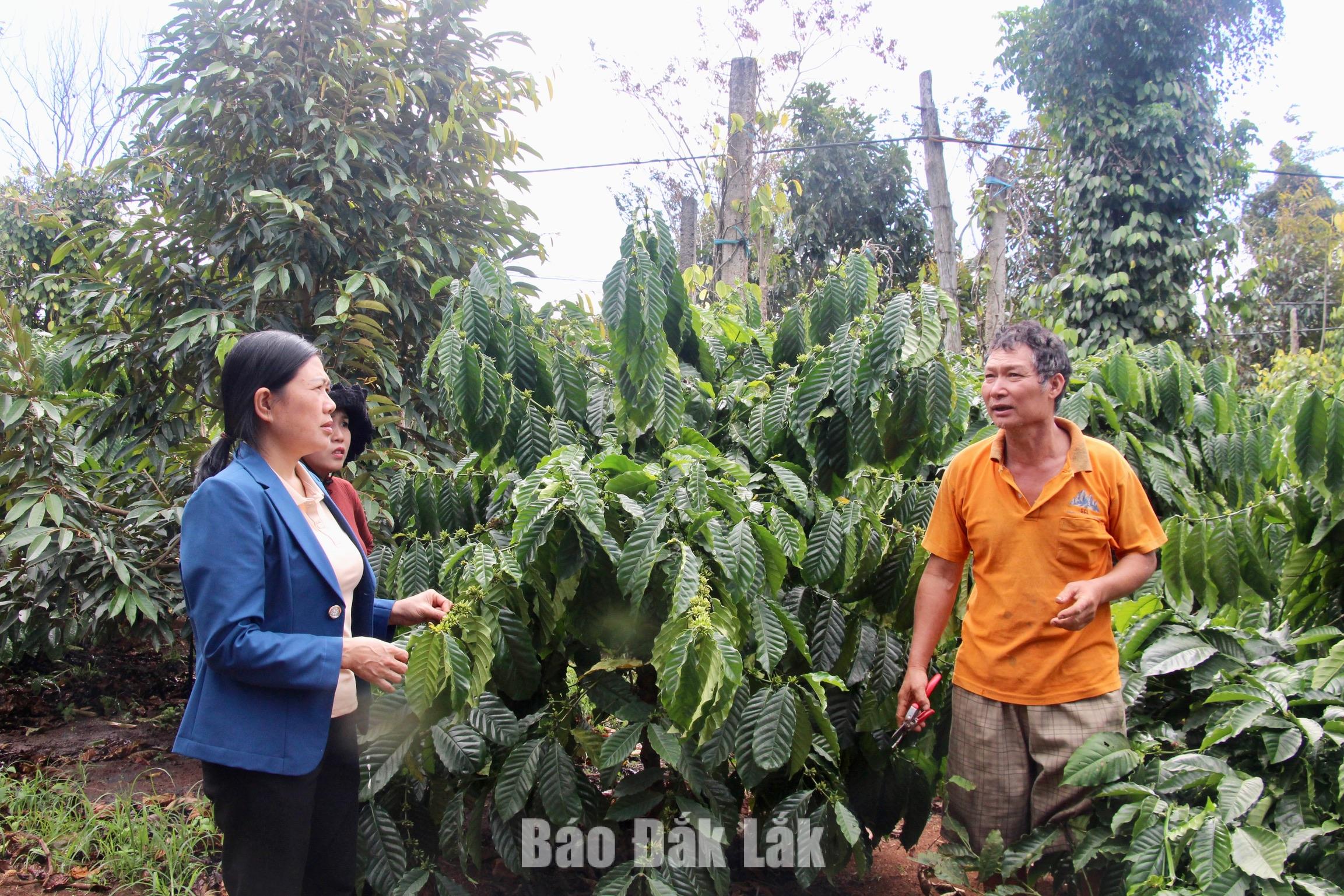 Nông dân thời đại mới trên hành trình làm giàu 4 Phong trào nông dân sản xuất, kinh doanh giỏi đã xuất hiện nhiều mô hình hiệu quả và những tấm gương tiêu biểu.