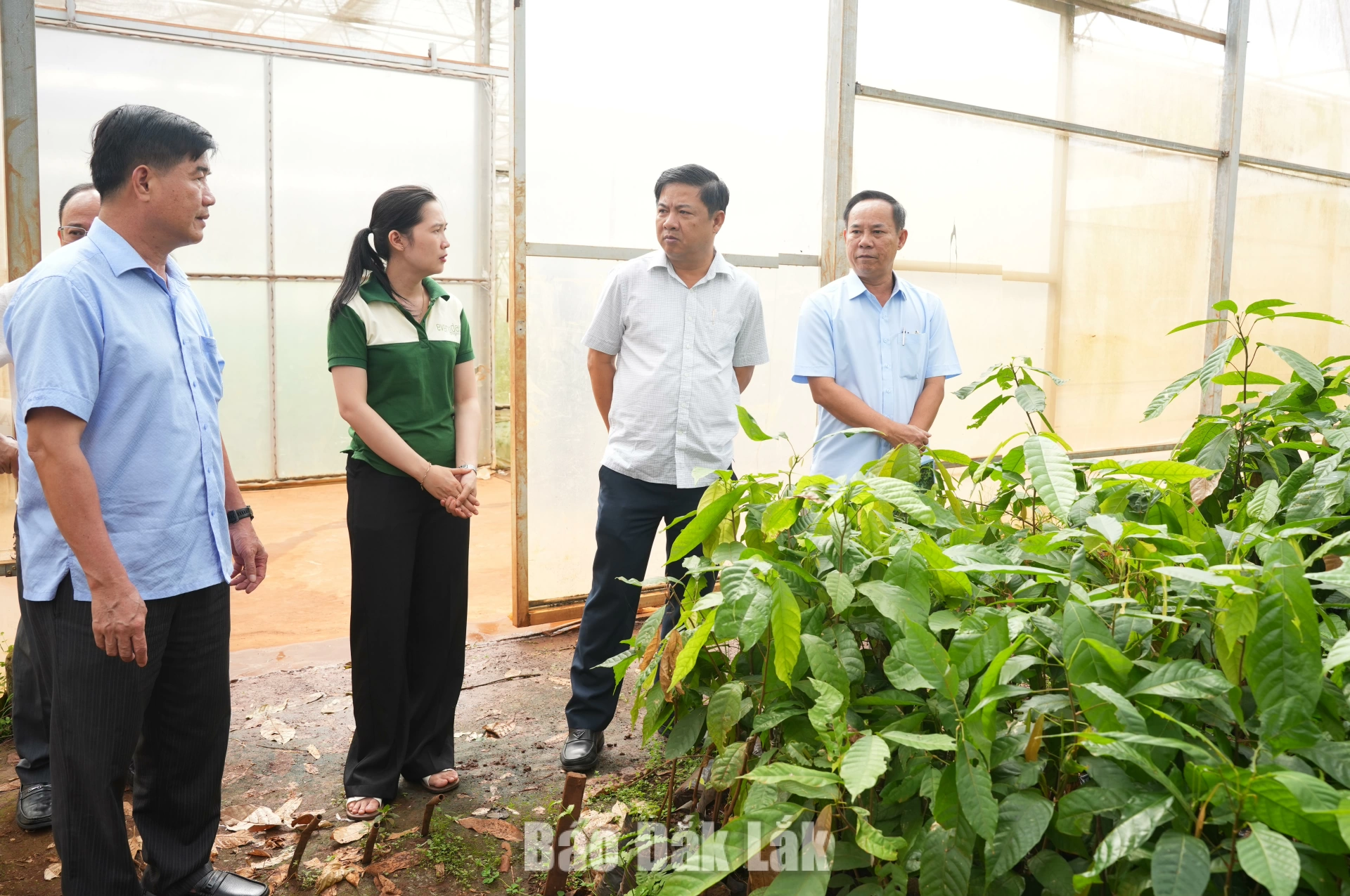 Bí thư Tỉnh ủy Lương Nguyễn Minh Triết kiểm tra các dự án thủy lợi, nông nghiệp trên địa bàn tỉnh 6 Bí thư Tỉnh ủy Lương Nguyễn Minh Triết và Phó Chủ tịch UBND tỉnh Nguyễn Thiên Văn khảo sát vườn ươm tại