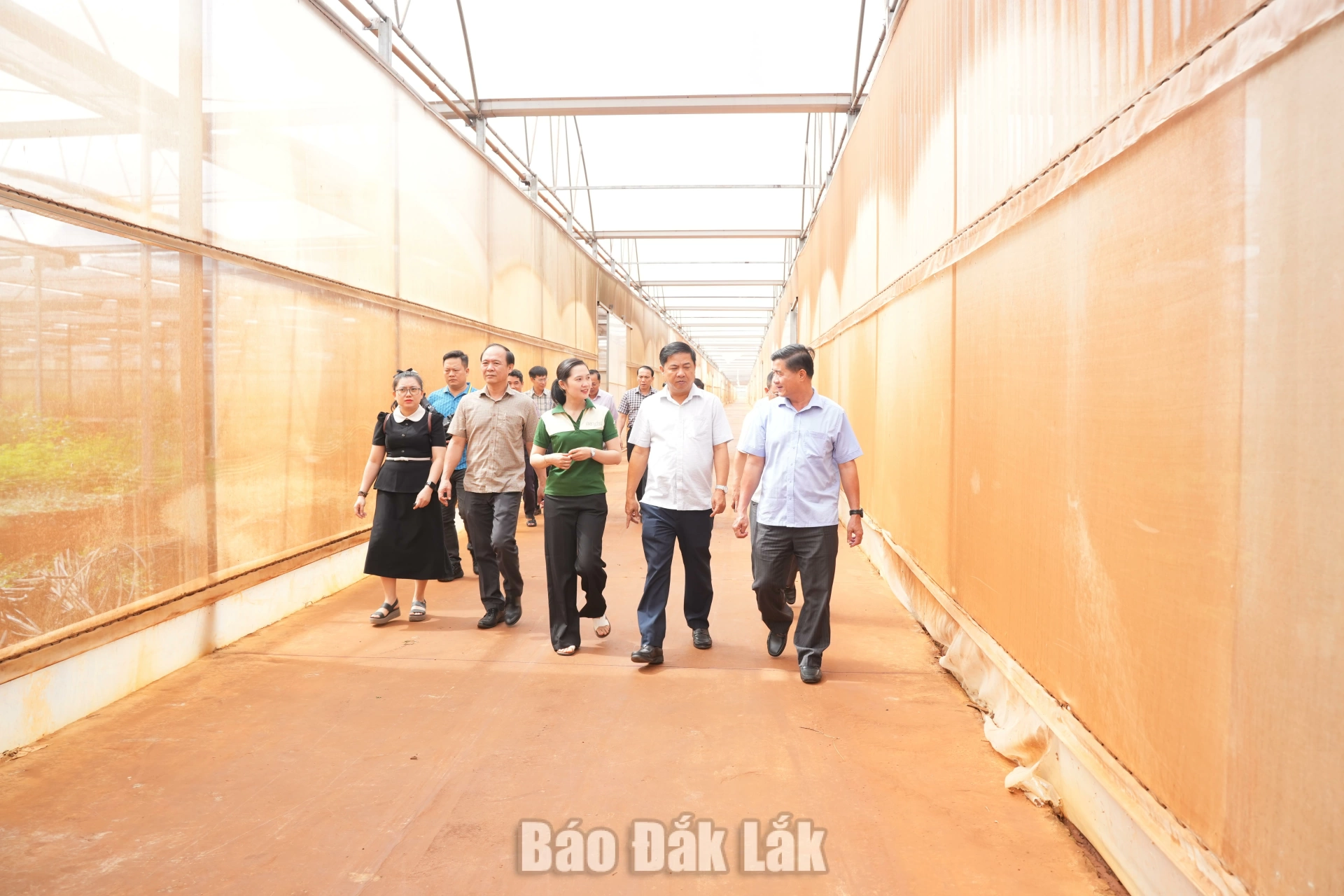 Bí thư Tỉnh ủy Lương Nguyễn Minh Triết kiểm tra các dự án thủy lợi, nông nghiệp trên địa bàn tỉnh 4 kiểm tra