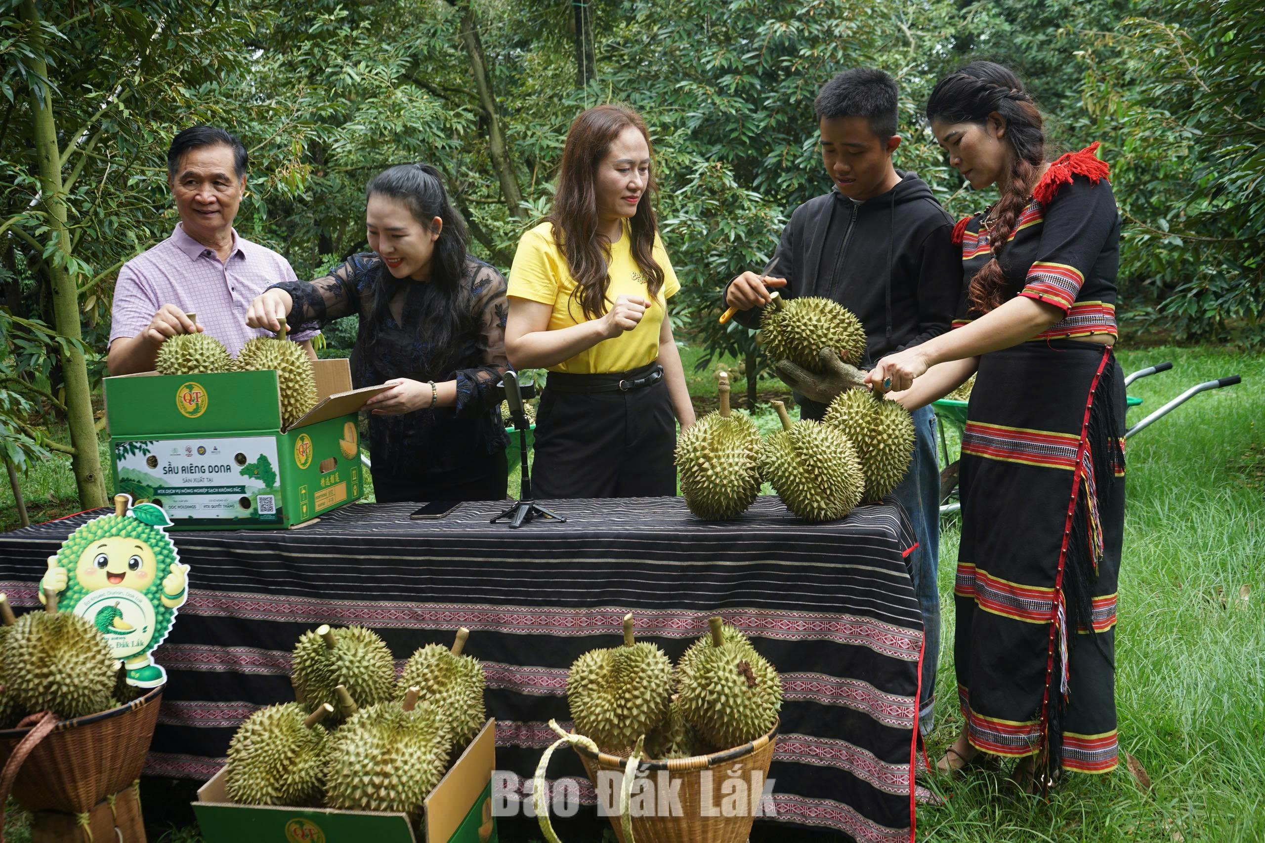 Xã Ea Knuếc: Tổ chức nhiều hoạt động sôi nổi hưởng ứng Lễ hội Sầu riêng Đắk Lắk năm 2026 1 Bí thư Đảng ủy xã Ngô Thị Minh Trình kiểm tra công tác chuẩn bị cho buổi livestream
