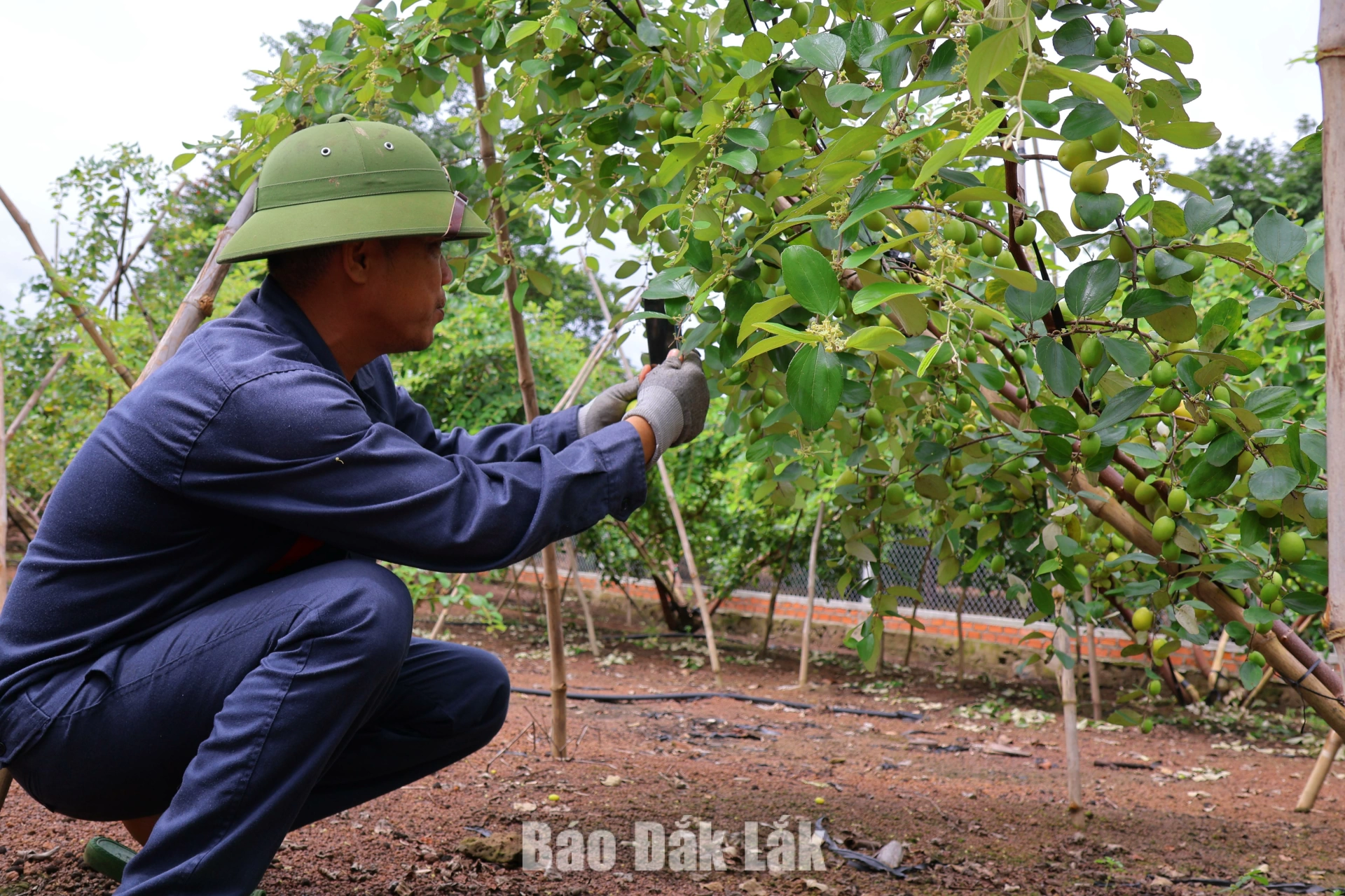Người dân Ea Wer
