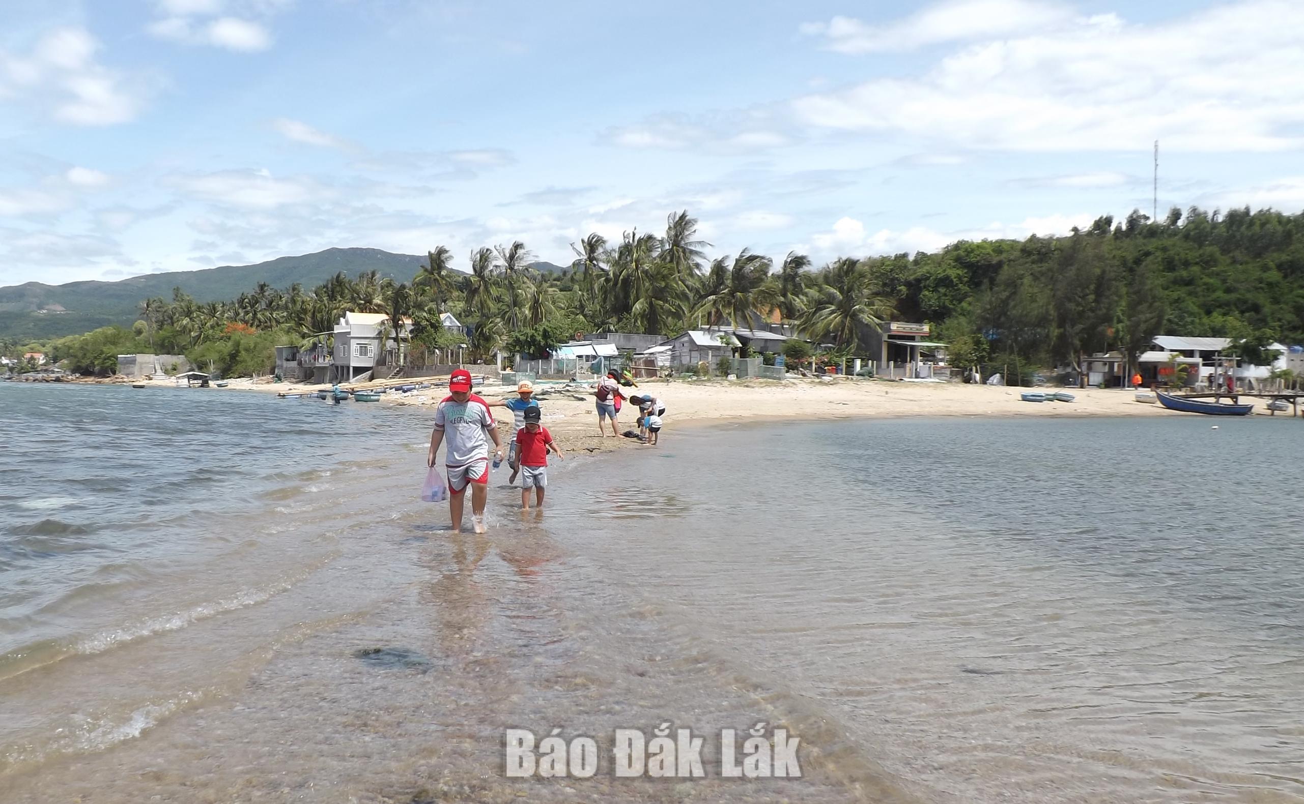 Khám phá vẻ đẹp hoang sơ đảo Nhất Tự Sơn 1 nts 20260729093629 20260731105008