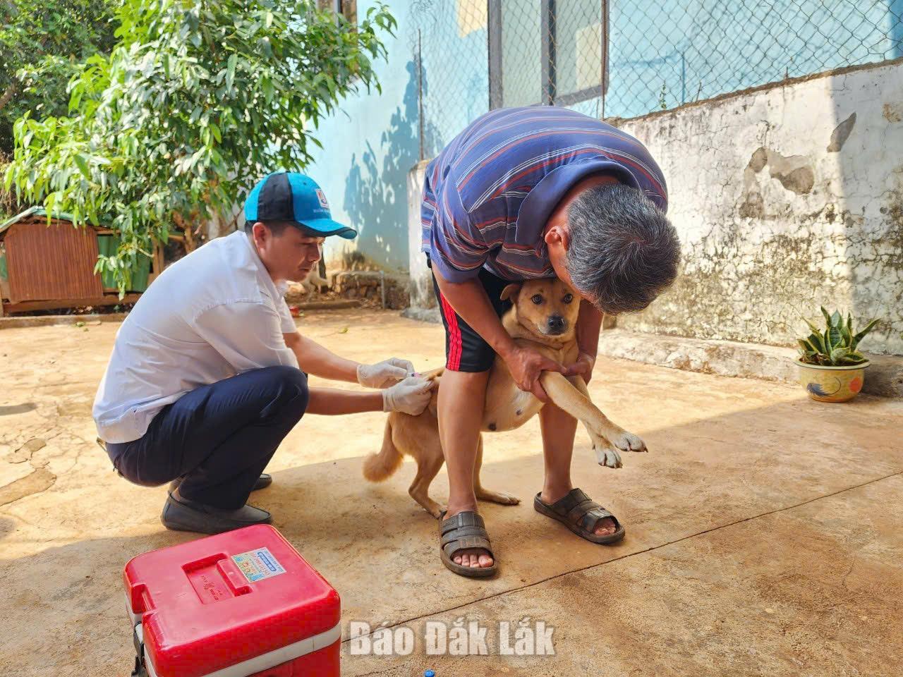 tiêm phòng vắc-xin dại