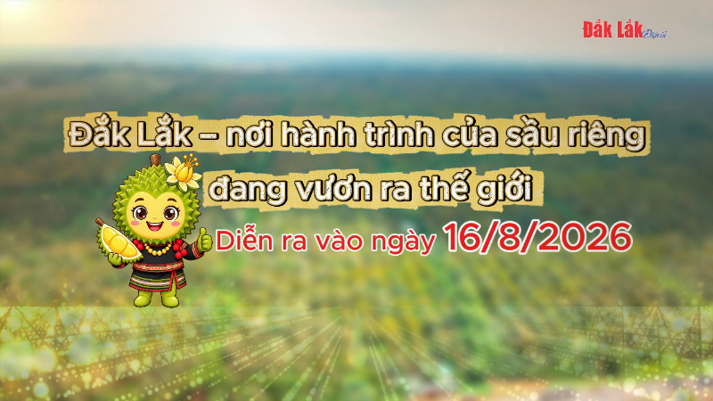 (Video) Hành trình sầu riêng Đắk Lắk - Kết nối vươn xa