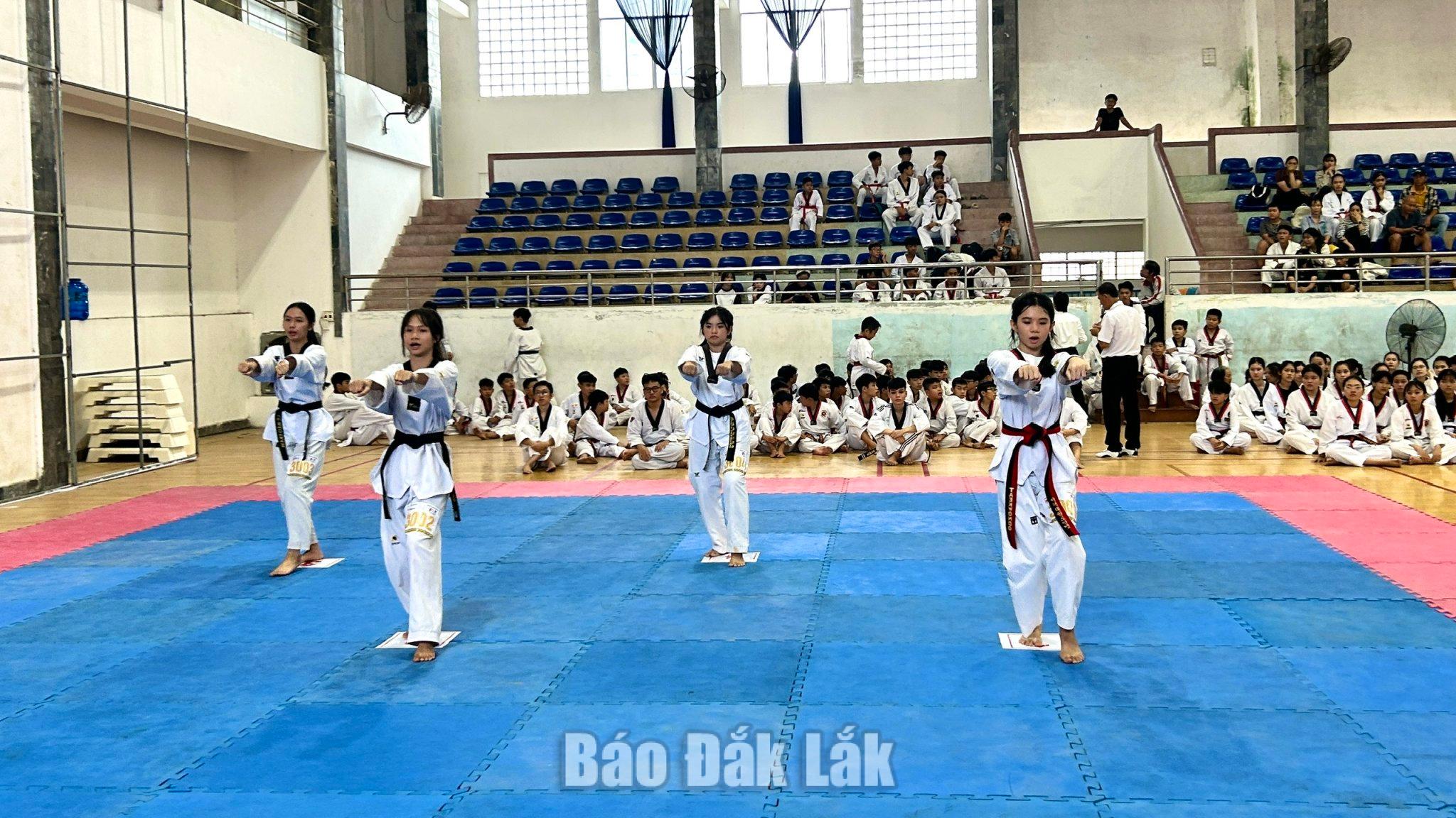 Gần 270 võ sinh thi thăng đẳng Taekwondo năm 2026 2 Các võ sinh thực hiện kỹ thuật tấn.