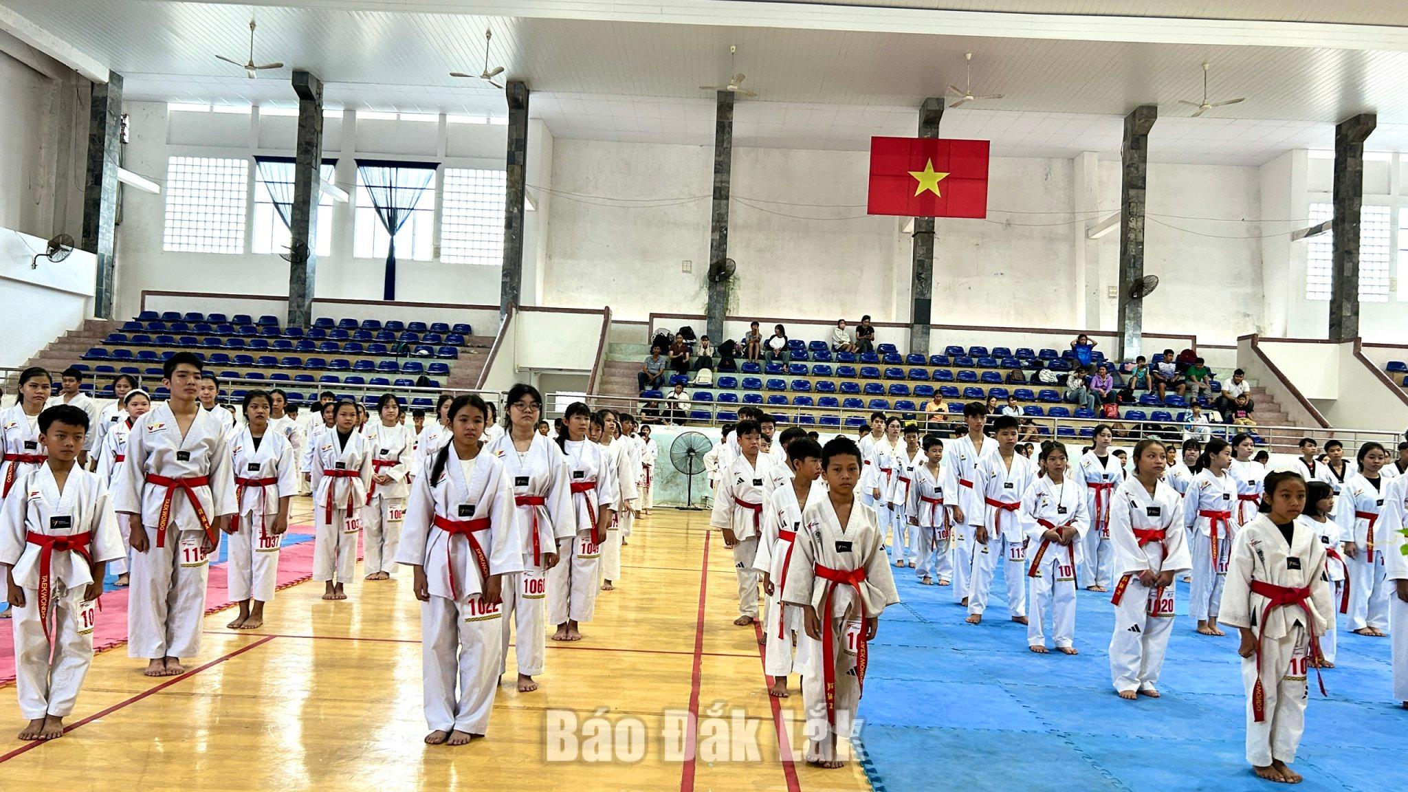 Gần 270 võ sinh thi thăng đẳng Taekwondo năm 2026 1 Đông đảo võ sinh tham gia Kỳ thi thẳn đẵng năm 2026.