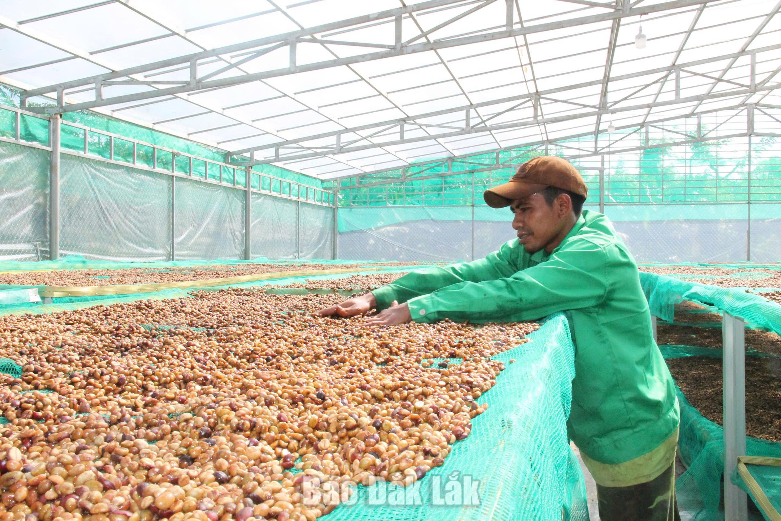 Dư địa tăng trưởng mới 1 1789374562961 4652335420972501426 4652335420972501426 c3baf828e88d1d48f493015124bf330d 2026091420580