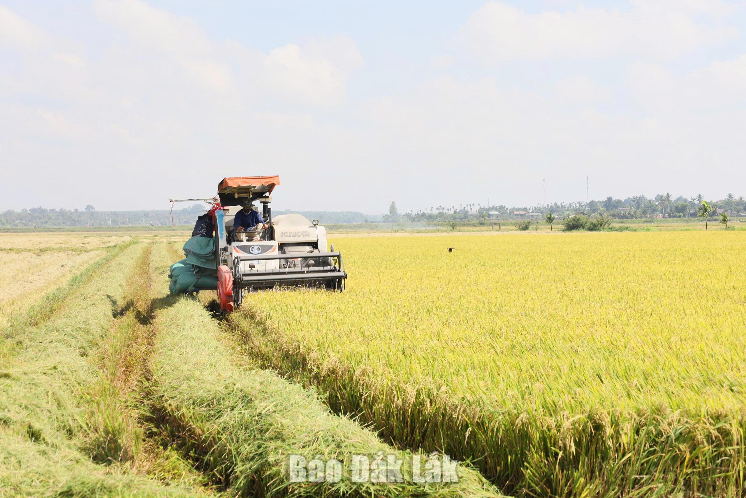 Xây dựng chiến lược phát triển thị trường bền vững 2 1789374915781 4652335420972501426 4652335420972501426 5d52d0606cb0f181f136d85d0f3458d0 2026091422221
