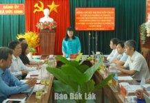 Phó Chủ tịch Thường trực UBND tỉnh Hồ Thị Nguyên Thảo làm việc với xã Đức Bình Phó Chủ tịch Thường trực UBND tỉnh Hồ Thị Nguyên Thảo làm việc với xã Đức Bình