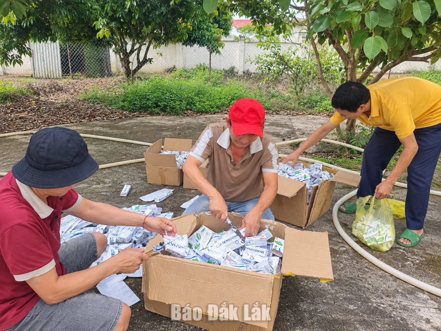 Phạt hành chính, buộc tiêu hủy 384 sản phẩm nhập lậu 1 Số kém đánh răng có xuất xứ từ Thái Lan