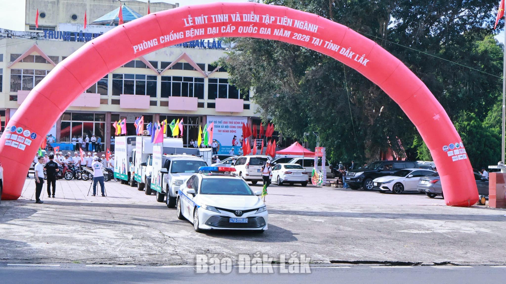 Chung tay phòng, chống bệnh dại, hướng tới mục tiêu không còn người tử vong năm 2030 5 th