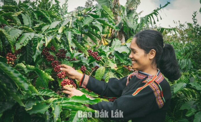 Định vị thương hiệu địa phương bằng bản sắc văn Định vị thương hiệu địa phương bằng bản sắc văn hóa