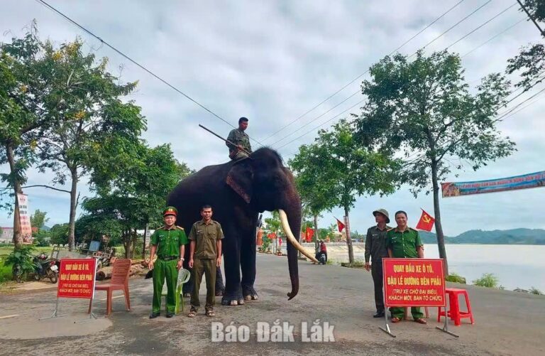 Giao thông thông suốt, an toàn xuyên suốt kỳ nghỉ lễ