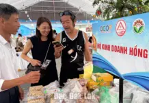 Kết nối giao thương, nâng tầm giá trị sản phẩm Đắk Lắk Kết nối giao thương, nâng tầm giá trị sản phẩm Đắk Lắk