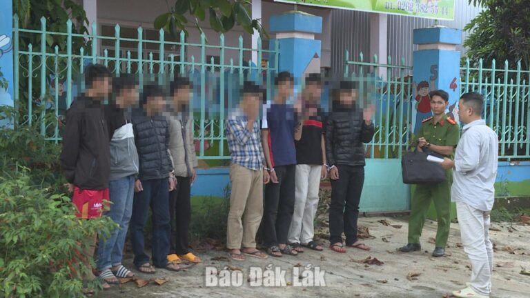 Làm rõ nhóm 8 thanh thiếu niên đột nhập ô tô trộm cắp tài sản