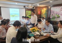 Lãnh đạo tỉnh Đắk Lắk làm việc với Tập đoàn TH và Tập đoàn Hòa Phát Lãnh đạo tỉnh Đắk Lắk làm việc với Tập đoàn TH và Tập đoàn Hòa Phát