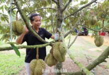 Mở rộng liên kết để nâng cao giá trị Mở rộng liên kết để nâng cao giá trị