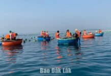 Nối nhịp biển – rừng, đưa du lịch phát triển Nối nhịp biển - rừng, đưa du lịch phát triển