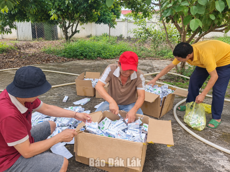 Phạt hành chính, buộc tiêu hủy 384 sản phẩm nhập lậu