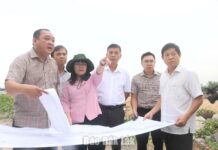 Phó Chủ tịch Thường trực UBND tỉnh Hồ Thị Nguyên Thảo kiểm tra tiến độ 3 dự án Phó Chủ tịch Thường trực UBND tỉnh Hồ Thị Nguyên Thảo kiểm tra tiến độ 3 dự án