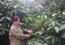 Phụ nữ Đắk Phơi: Đổi nếp nghĩ, mở lối làm ăn Phụ nữ Đắk Phơi: Đổi nếp nghĩ, mở lối làm ăn