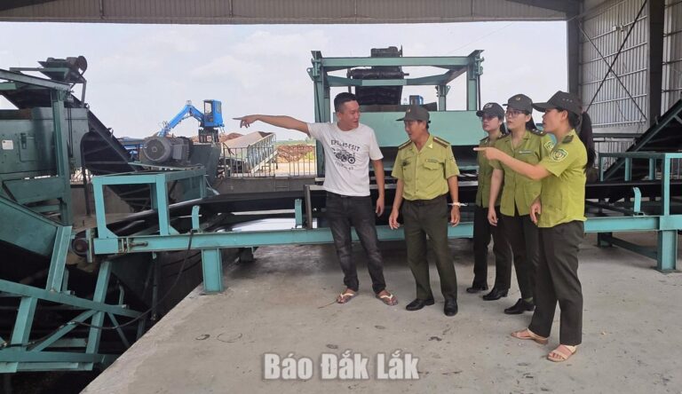 Tăng cường kiểm tra, đưa hoạt động lâm sản vào nền nếp