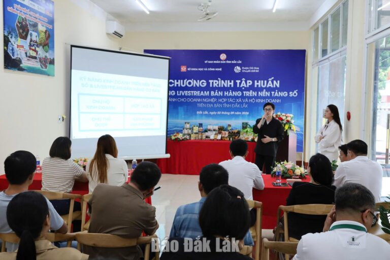 Tập huấn kỹ năng livestream bán hàng trên nền tảng số
