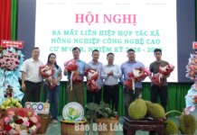 Xã Cư M’gar: Khơi thông nguồn lực, tạo đà tăng trưởng kinh tế bền vững Xã Cư M’gar: Khơi thông nguồn lực, tạo đà tăng trưởng kinh tế bền vững