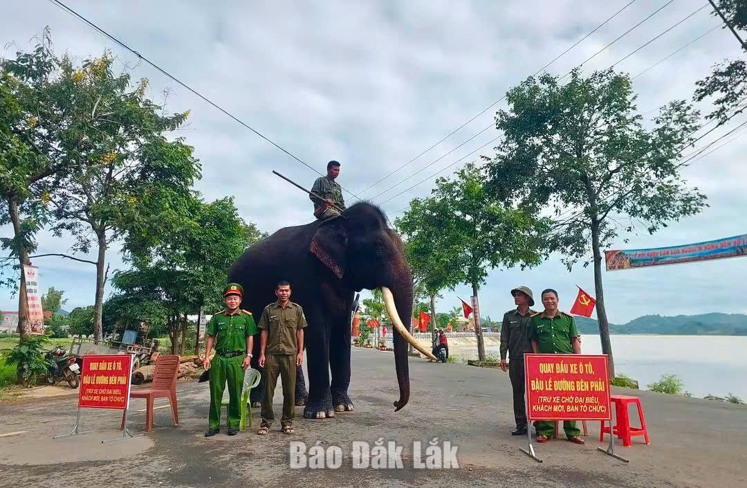 Giao thông thông suốt, an toàn xuyên suốt kỳ nghỉ lễ 1 Lực lượng chức năng phân luồng, hướng dẫn giao thông tại khu vực diễn ra Lễ hội Rượu cần của người Mnông bên hồ Lắk.