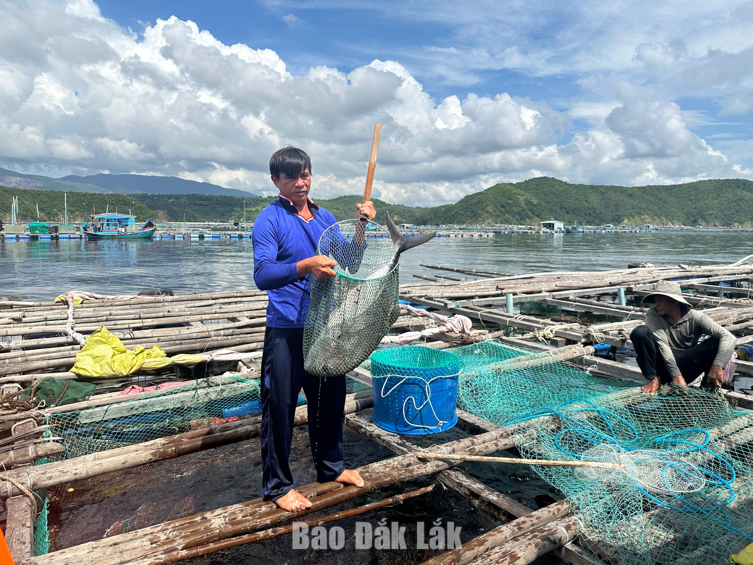 Quy định mức thu tiền sử dụng khu vực biển đối với 6 nhóm hoạt động 1 Sử dụng khu vực biển để nuôi trồng thủy sản có mức thu là 5.750.000 đồng/ha/năm.