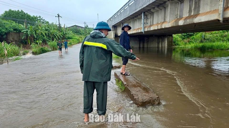Xã Phú Xuân chủ động ứng phó với mưa lũ 2 1