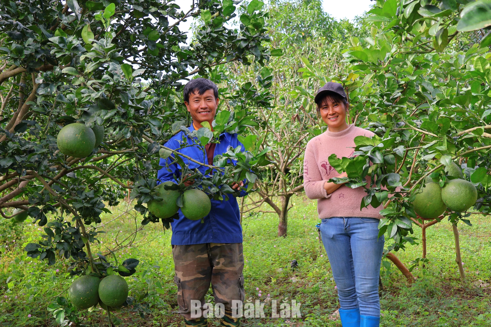 Từ mã QR đến những cơ hội mới ở Ea Wer 2 Hợp tác