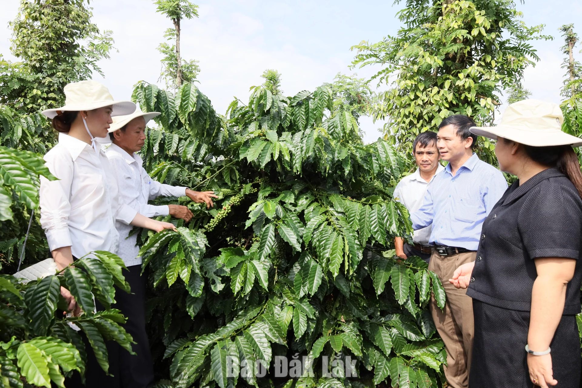 Nông nghiệp tái sinh: Giải pháp cho tăng trưởng xanh và giảm phát thải 2 img 4344 20260921232607 20260922193117