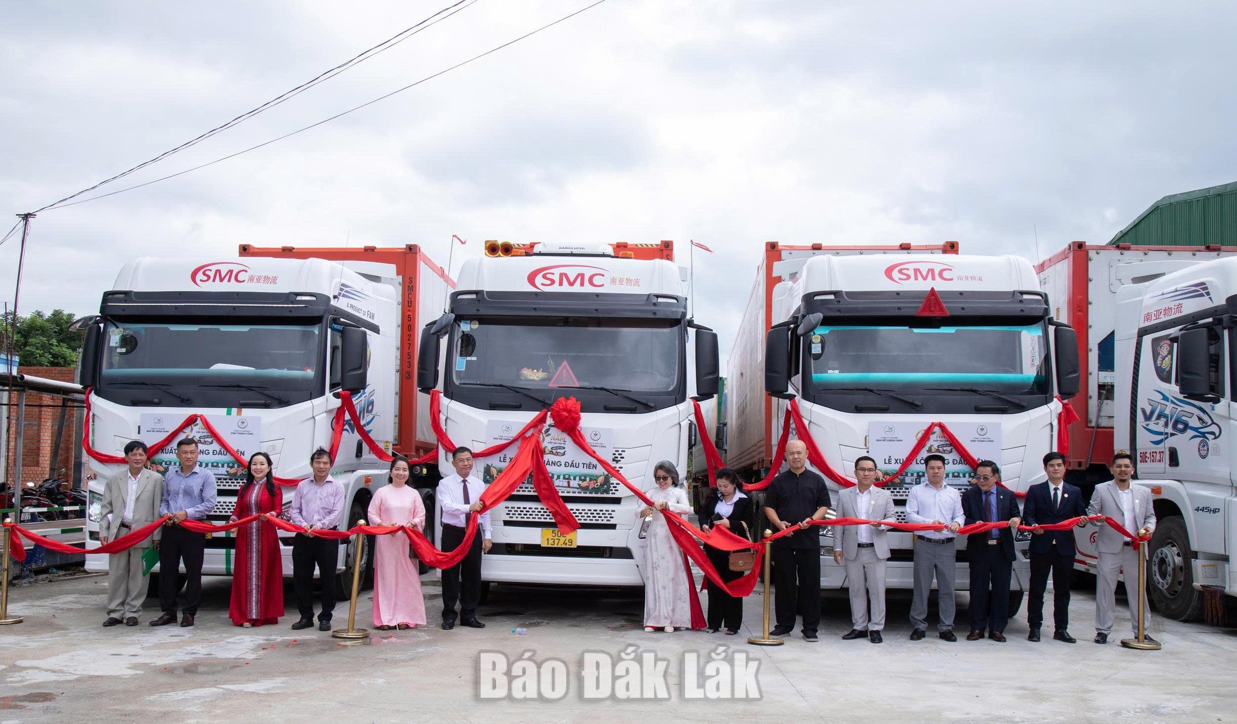 Ban Mê Green Farm khánh thành Nhà máy cấp đông - chế biến nông sản xuất khẩu 4 Các đại biểu thực hiện nghi thức cắt băng, xuất khẩu 2 container sầu riêng cấp đông đầu tiên của Nhà máy số 2.