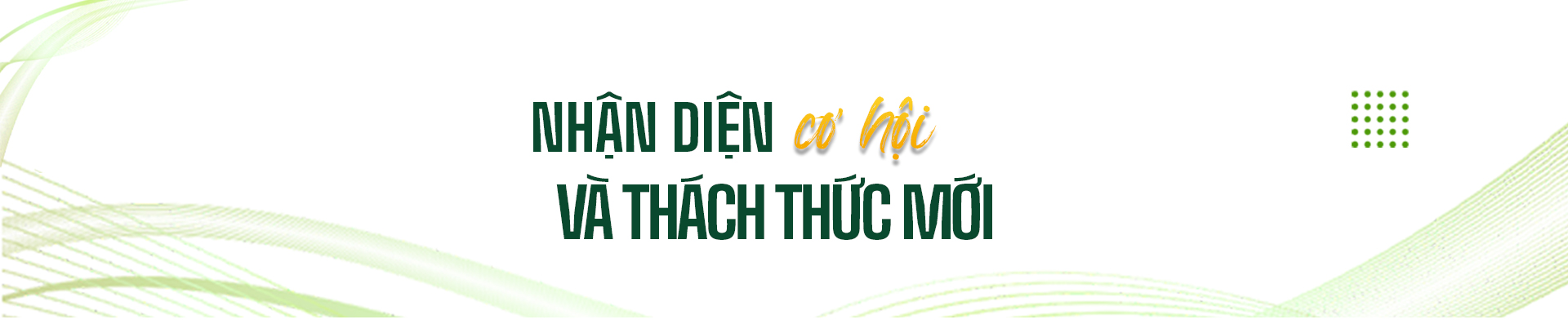 tit phu 2 edit 20260911090324