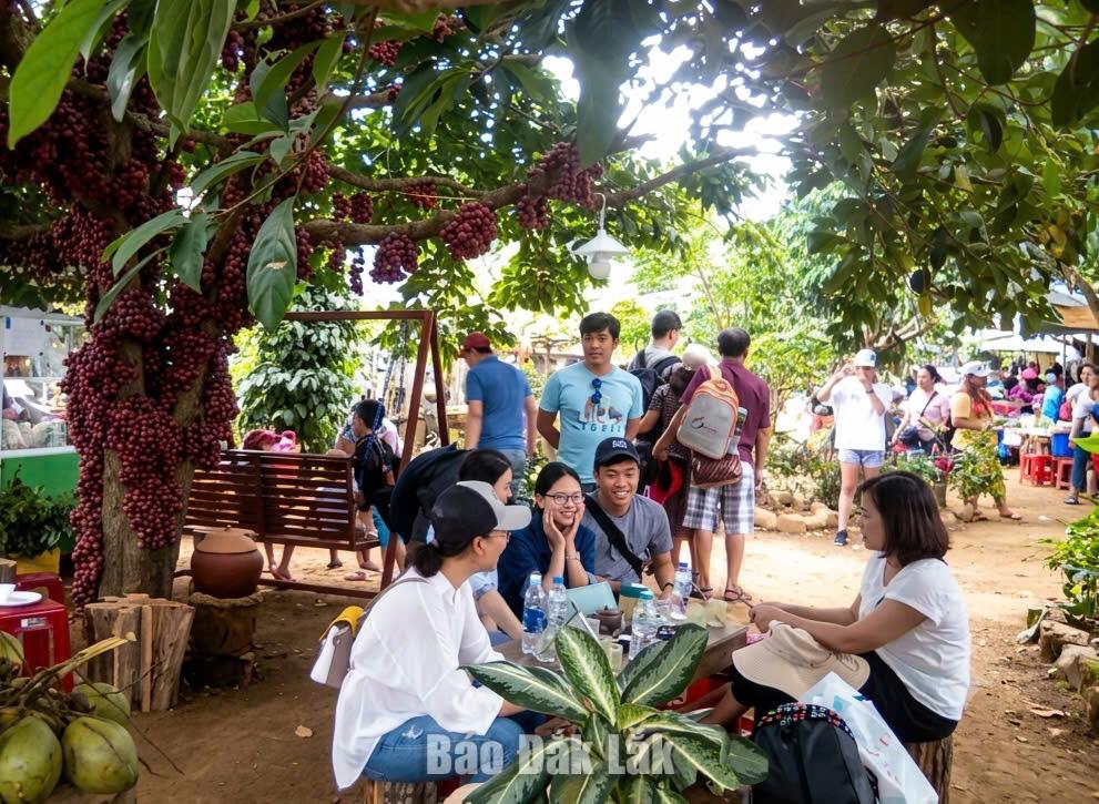Vân Hòa xây dựng điểm đến du lịch an toàn 1 vh4 20260921211340 20260922193419