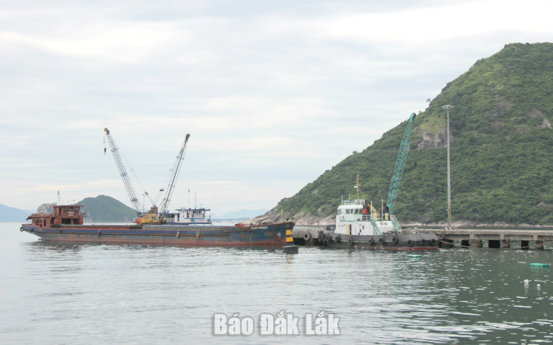 Hòa Xuân yêu cầu di dời lồng, bè khu vực Cảng Vũng Rô trước ngày 21/9/2026 1 Tàu ra vào bốc hàng tại cảng Vũng Rô.