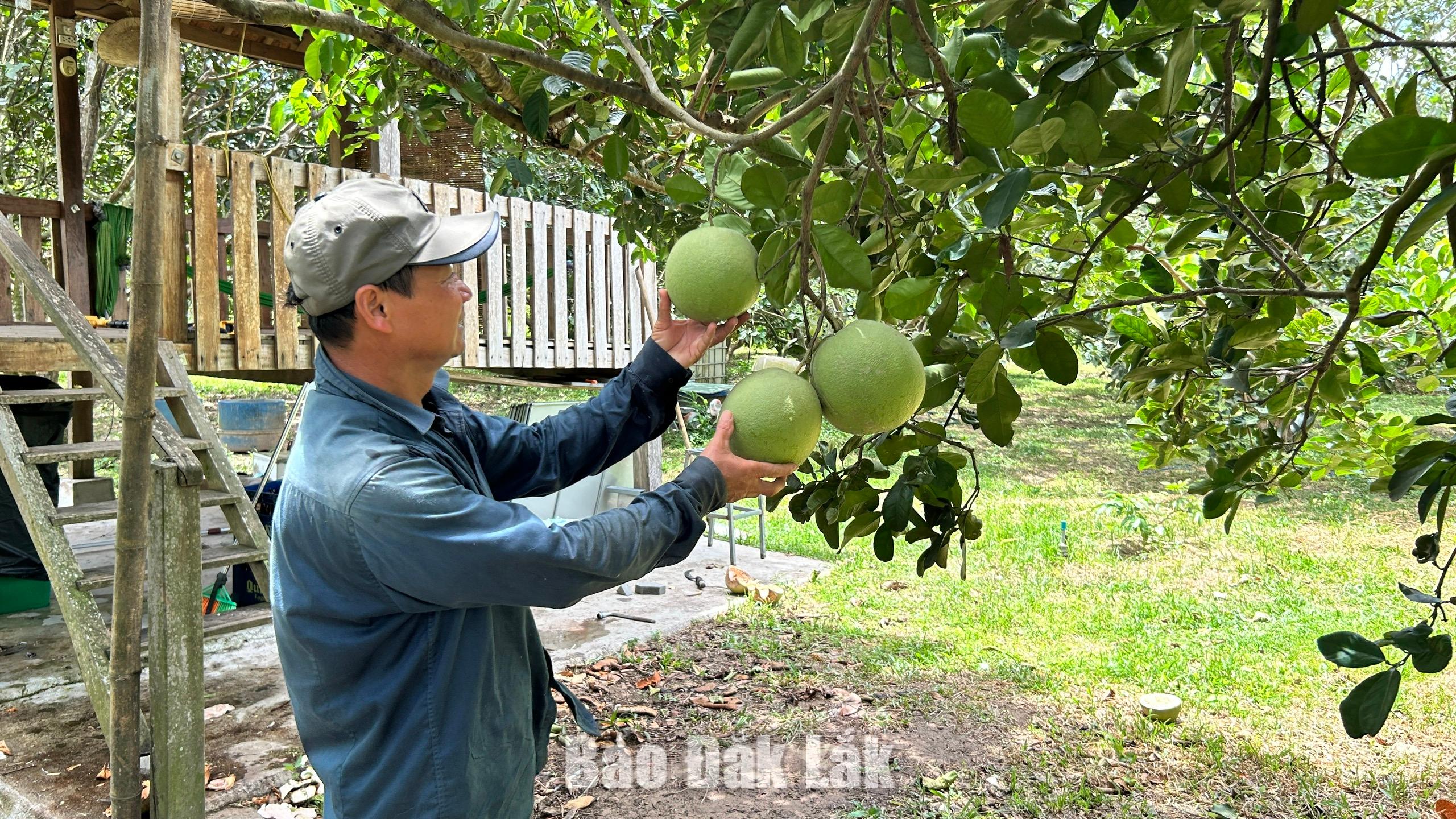 Sức sống mới ở Xuân Lãnh 1