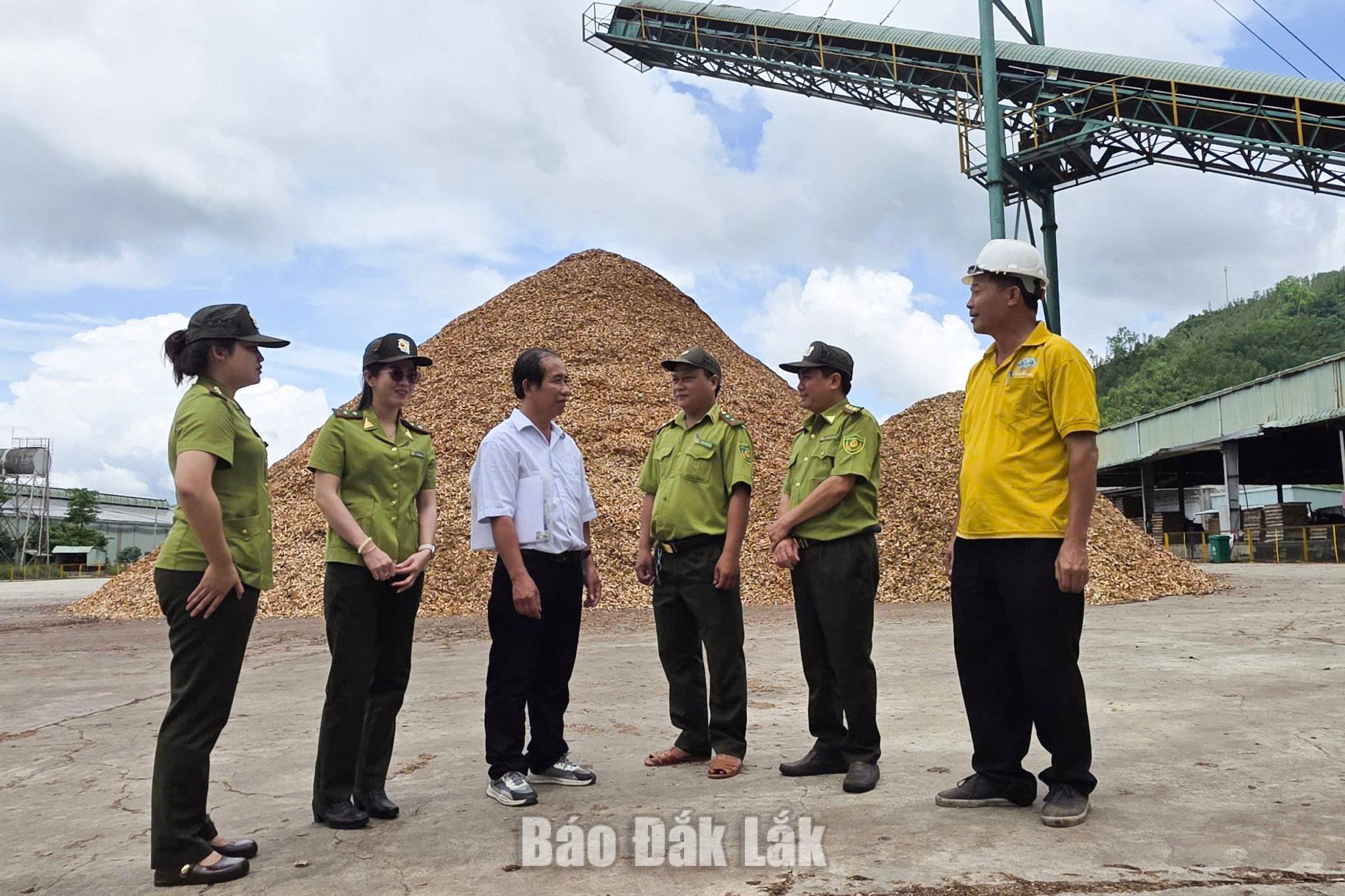 Quản lý chế biến lâm sản, nâng giá trị kinh tế rừng 1 1792114125770 1570239540801094578 1236397529520383312 b469162a9e37b2a6915f95509d211344 2026101608504