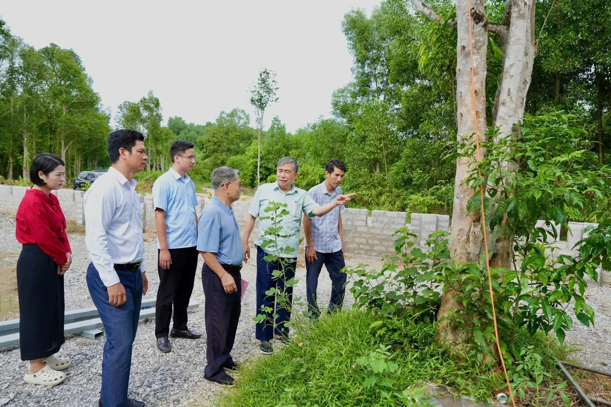 Công ty CP Phát triển đô thị và KCN Cao su Việt Nam: Từ các KCN đến ươm mầm giống cây nông lâm công nghệ cao 7 1792466826 40 cong ty cp phat trien do thi va kcn cao su viet nam tu cac kcn den uom mam giong cay nong lam cong