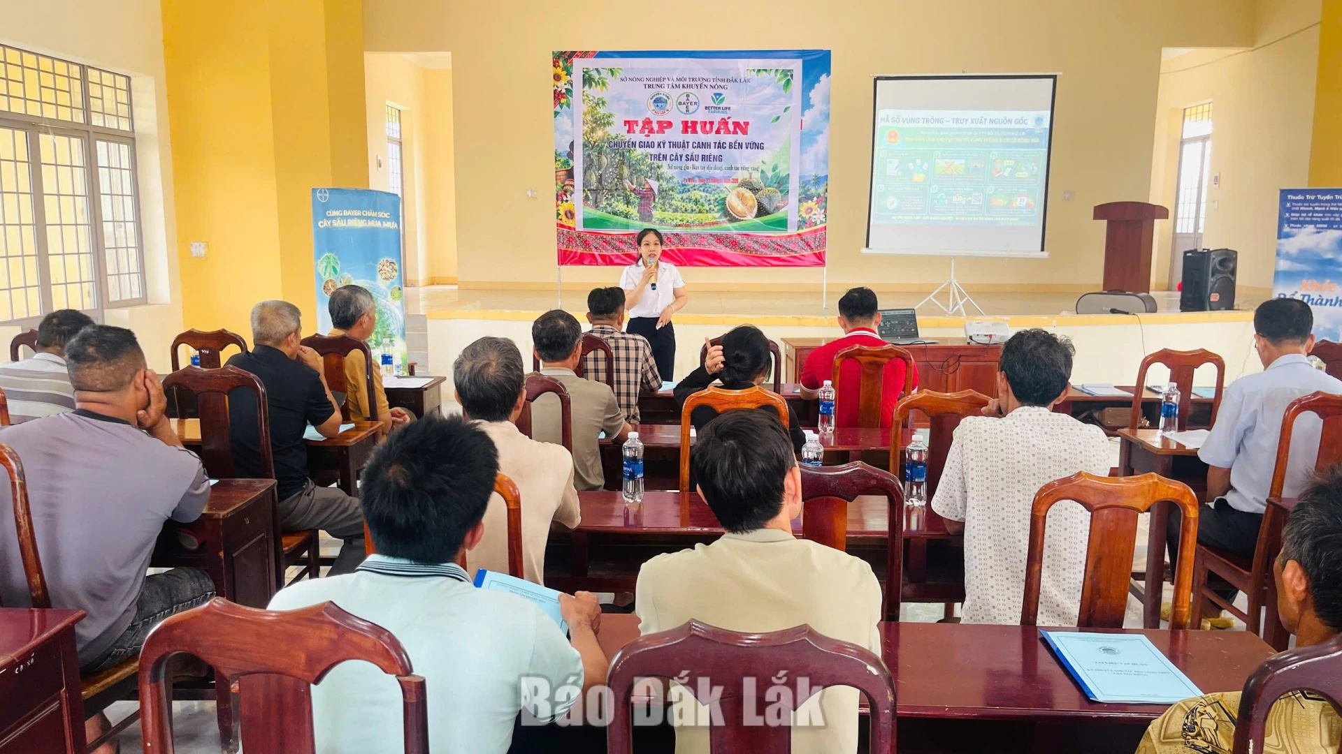 Chuyển giao kỹ thuật canh tác sầu riêng bền vững cho người dân Ea Nuôl 1 Toàn cảnh