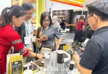 Mở đường cho nông sản vươn tầm Mở đường cho nông sản vươn tầm